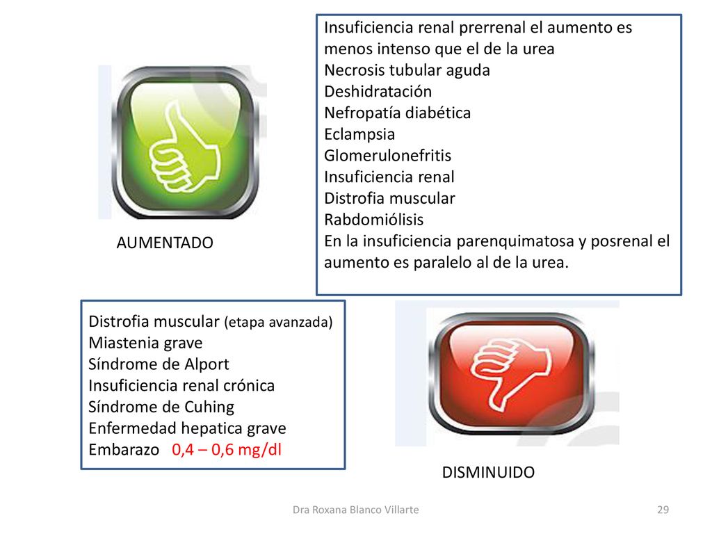 Urea suero bajo embarazo